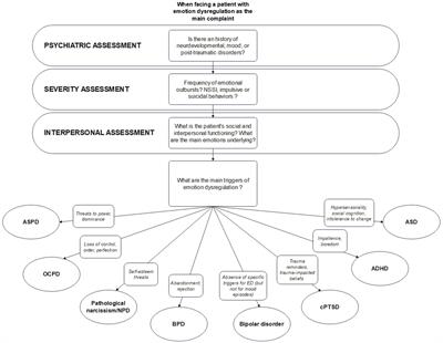 Proposition of a transdiagnostic processual approach of emotion dysregulation based on core triggers and interpersonal styles